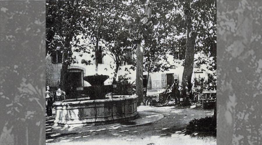 Vasque polygonale de fontaine à deux coupes en élévation, platanes faisant de l'ombre