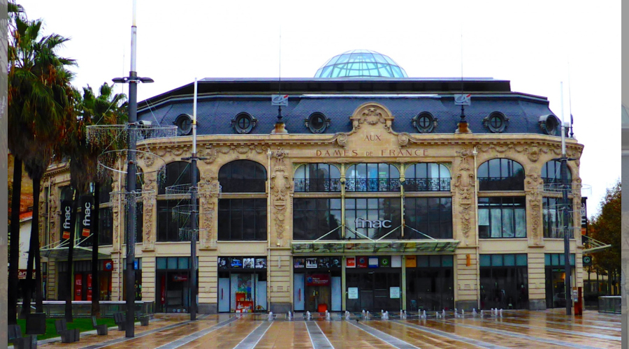 Magasins Aux Dames de France