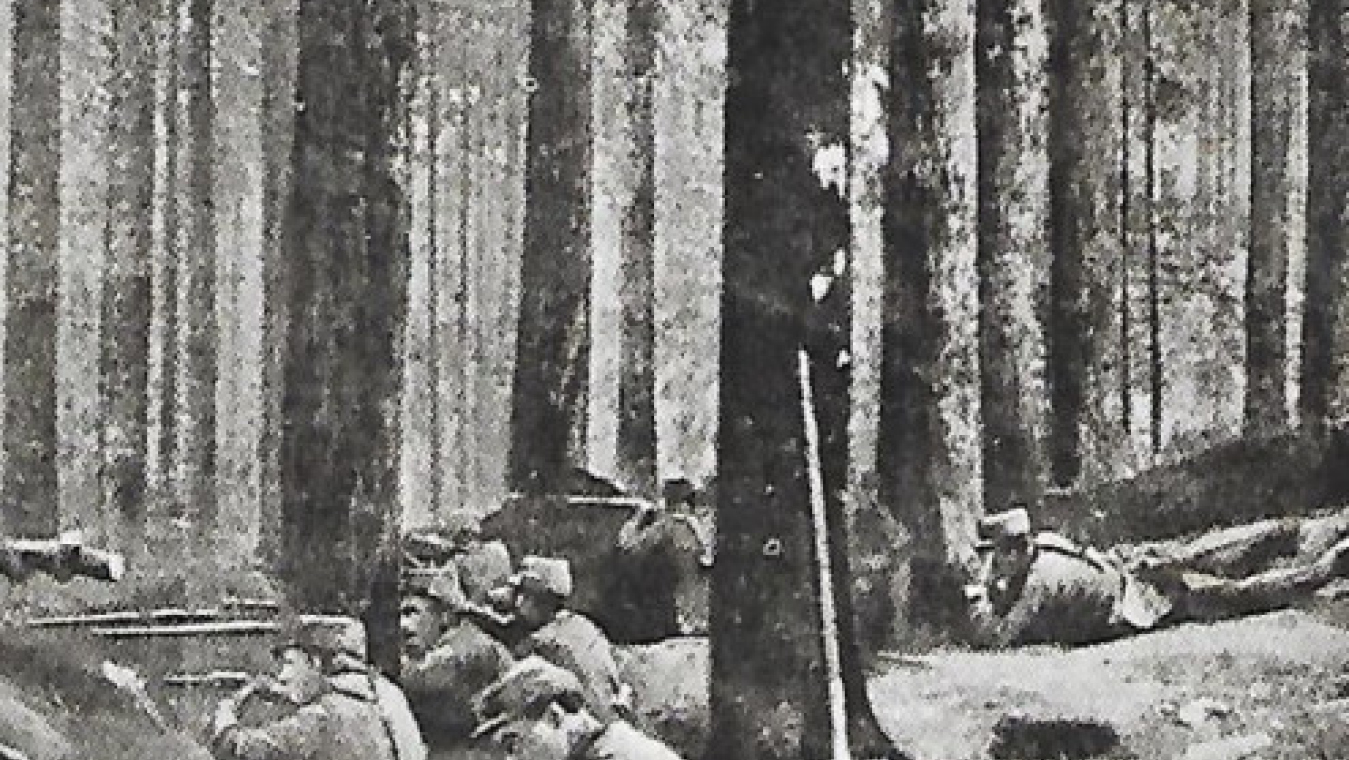 Tranchée en Argonne (Coll. Renaud Martinez)