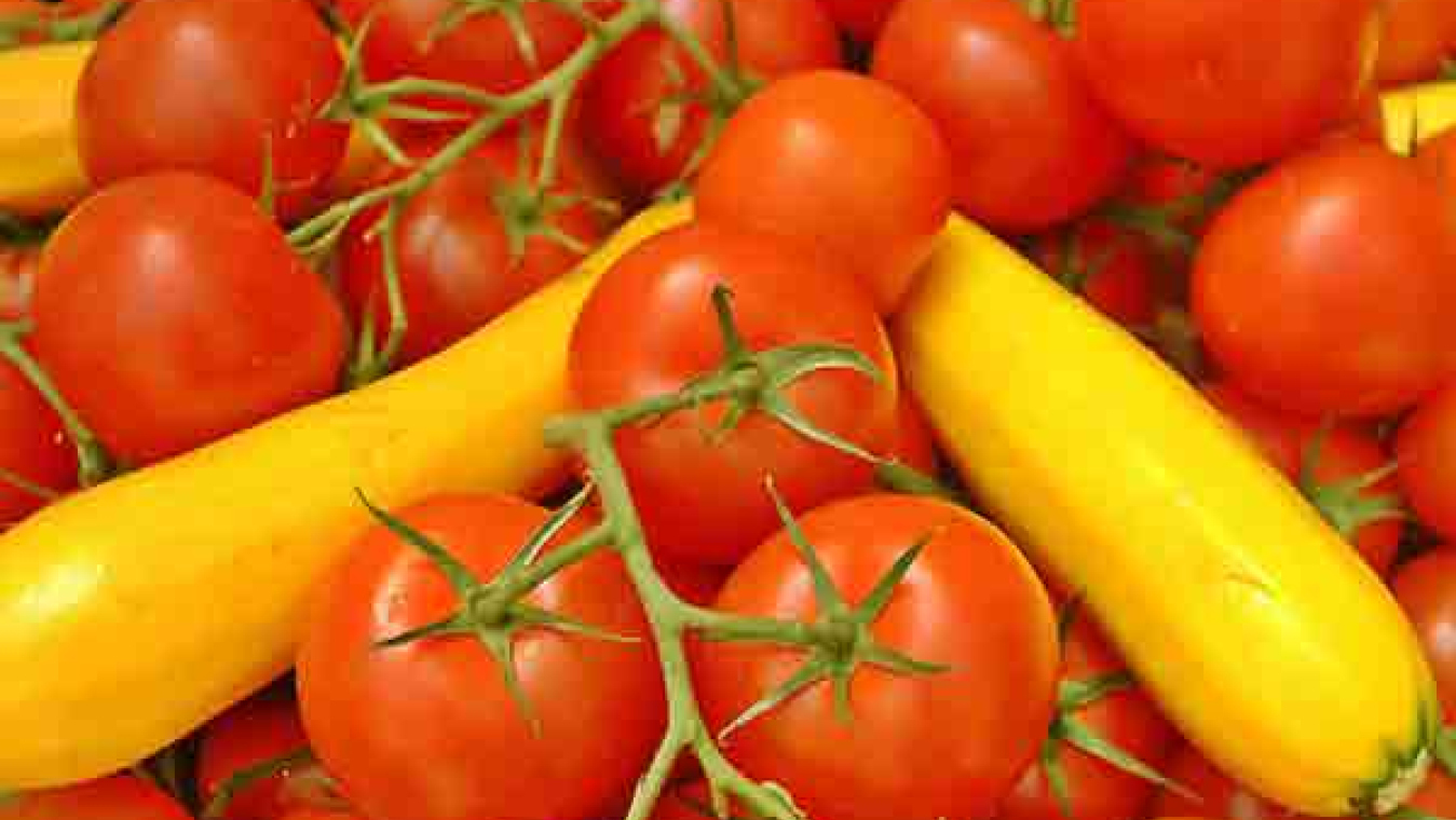 Perpignan, un territoire agricole