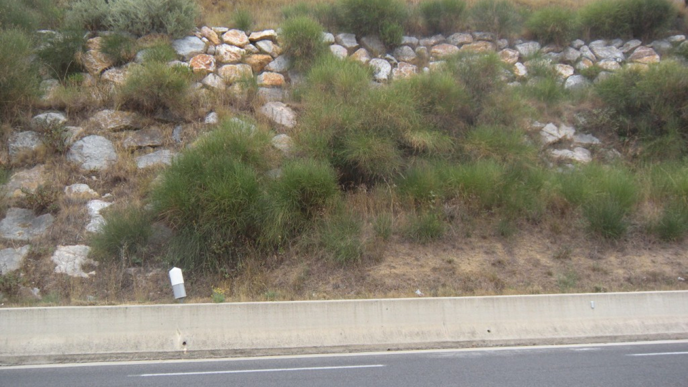 Mouvement de terrain