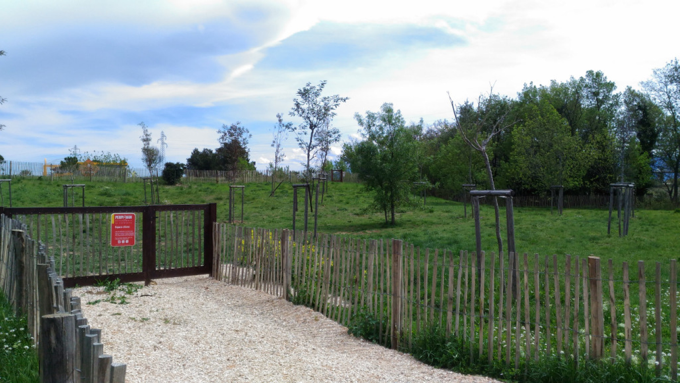 Espace canin rue Granollers