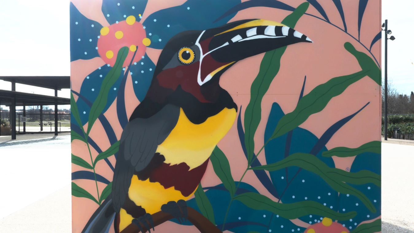 CÈC' / Parc Sant-Vicens