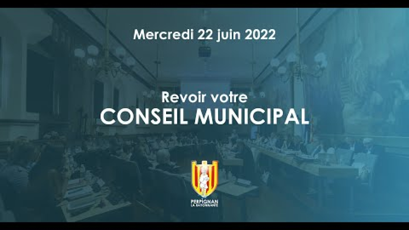 Image d'aperçu de la vidéo "Conseil municipal du 22 juin 2022".