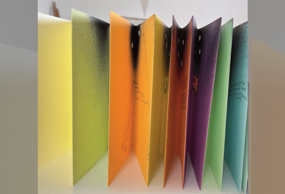 Photo N°1 : LA VOIX QUI REGARDE - EXPOSITION DES LIVRES DE RICHARD MEIER