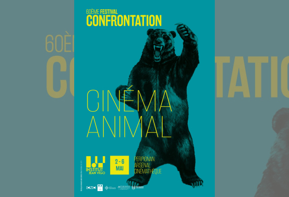 Photo N°1 : FESTIVAL CONFRONTATION