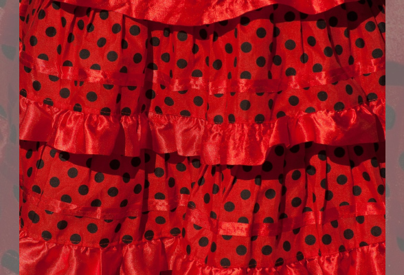 Photo N°1 : STAGE DÉCOUVERTE DE FLAMENCO