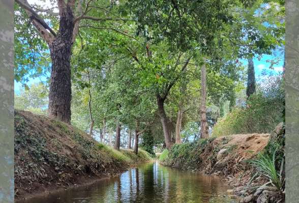 Photo N°1 : JOURNÉE MONDIALE DE L’EAU : VISITE "LAS CANALS, UN CANAL ROYAL"