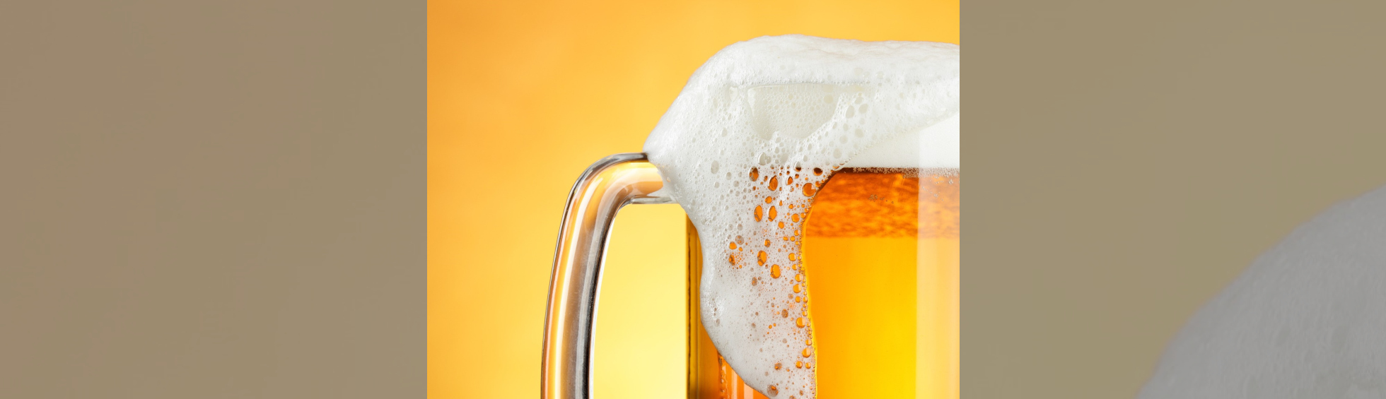 Photo N°1 : FÊTE DE LA BIÈRE LOCALE