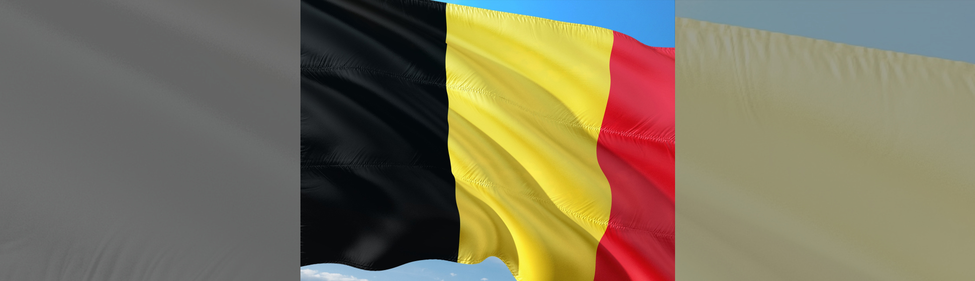 Photo N°1 : FÊTE NATIONALE BELGE 