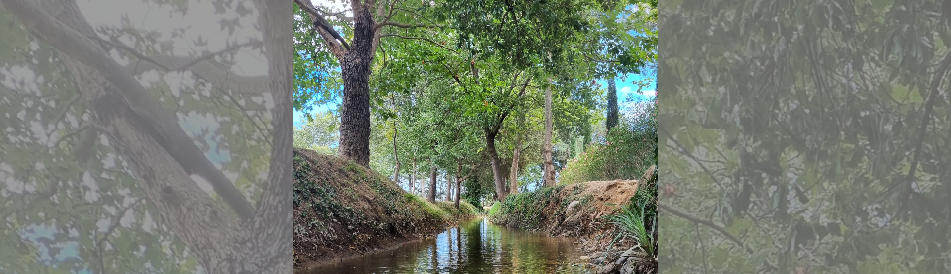 Photo N°1 : JOURNÉE MONDIALE DE L’EAU : VISITE "LAS CANALS, UN CANAL ROYAL"