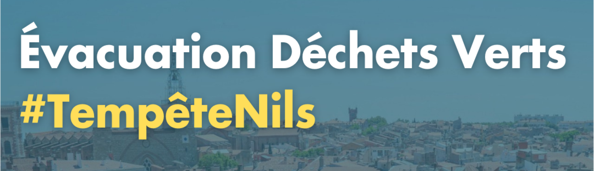 Tempête Nils : comment évacuer les déchets verts laissés par la tempête ?