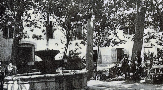 Vasque polygonale de fontaine à deux coupes en élévation, platanes faisant de l'ombre